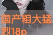 国产18p,探索中国影视产业的创新与突破
